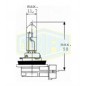 BULB H9 12V 65W