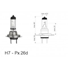ΛΑΜΠΑ ΙΩΔΙΟΥ Η7 12V-55W