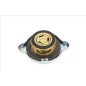 Radiator filler cap (0,7bar) 37/57,5 mm fits: MERCEDES LK/LN2, OH OM356.916-OM904.907 01.70-
